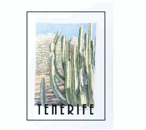 IMÁN CARDÓN: ARBUSTO ENDÉMICO DEL ARCHIPIÉLAGO CANARIO